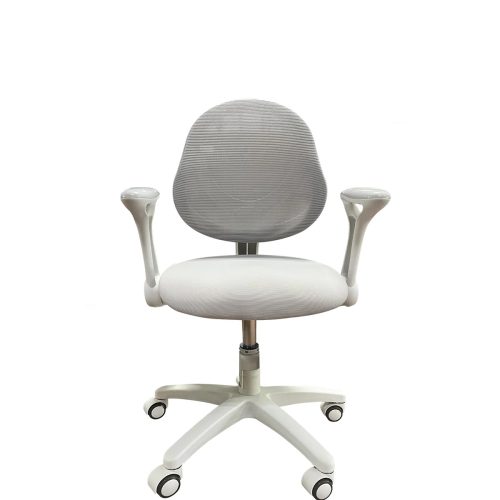 Ergonomic Chair Pic 1